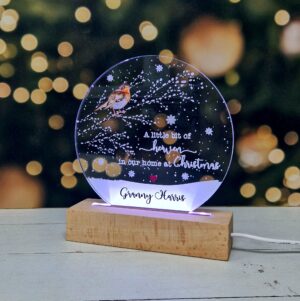 LED Snow Globe Memory Light - A Little Bit of Heaven in our Home at Christmas